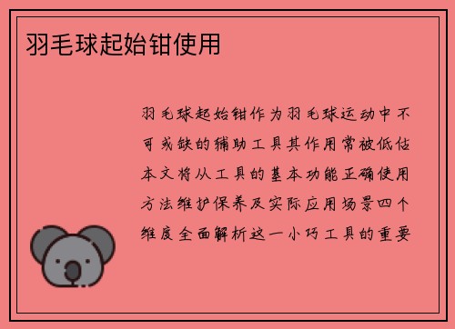羽毛球起始钳使用